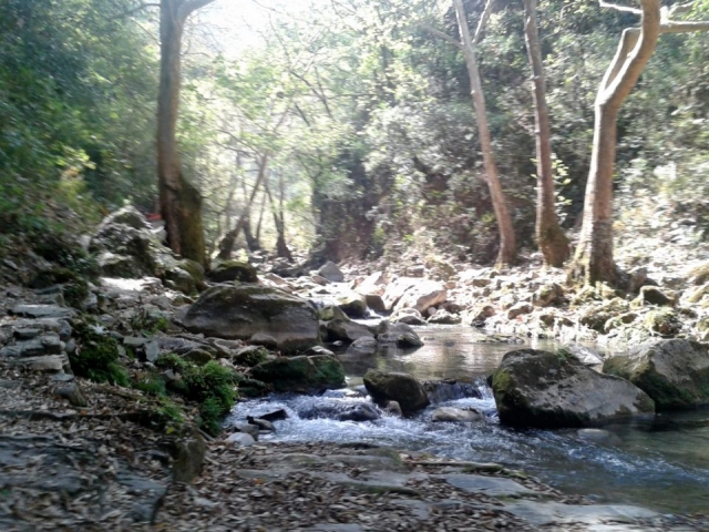 Sierra Gorda Querétaro